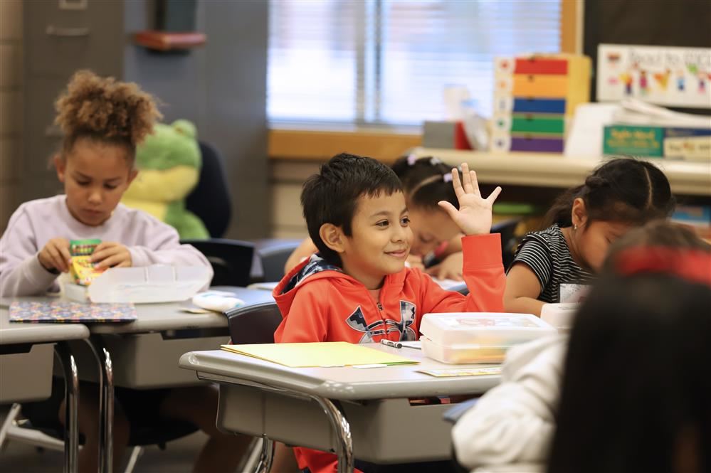 Boy raising his hand in class